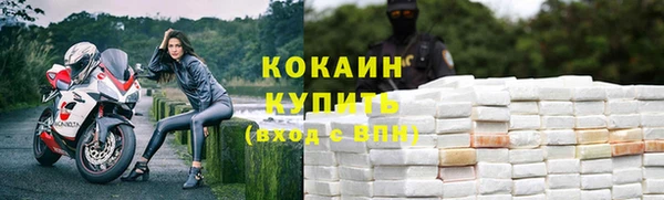 тгк Богданович