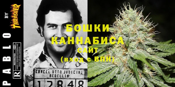 PSILOCYBIN Аркадак