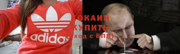 тгк Богданович