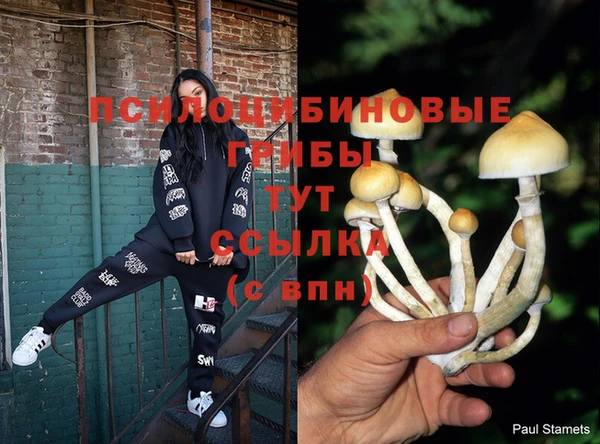 тгк Богданович