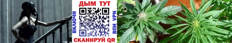 купить наркотики сайты  Семилуки  кракен как зайти  МАРИХУАНА SATIVA & INDICA 